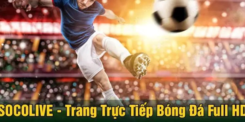 Vai trò socolive blv deco